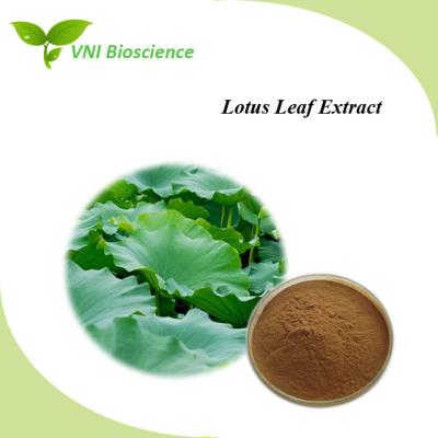 China OEM Lotus Leaf Extract Nuciferine 2% 10% Folium Nelumbinis Extract for sale