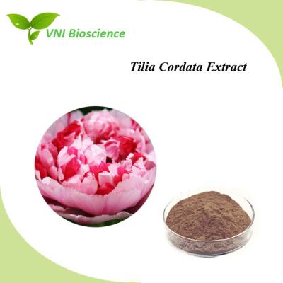 China Extracto natural de Tilia Cordata 10:1 4:1 Extracto de Tilia Cordata para el alivio del dolor en venta