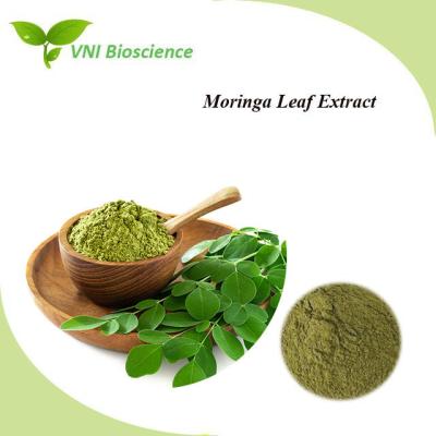 China Moringa Leaf Extract 5:1 10:1 20:1 Pure Moringa Powder Moringa Oleifera for sale
