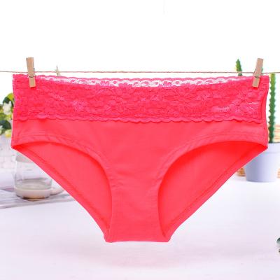 China Katrina kaif new xxx photos women sexy tight underwear for sale