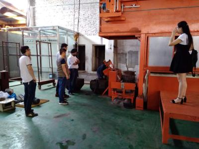 Κίνα υψηλής θερμοκρασίας καυτή εμβύθιση 12mm160mm που γαλβανίζει τη μηχανή για τα σφυρηλατημένα γαλβανισμένα μπουλόνια δεκαεξαδικού, γαλβανισμένα δομικά μπουλόνια  προς πώληση