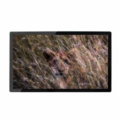 China 43 Inch Wall Mounted Digital Display Capacitive Touch Screen For Phone Shop for sale