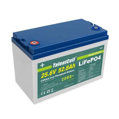 China Lithium Ion Ferrous Phosphate Lifepo4 Battery For Ev 24v 50ah for sale