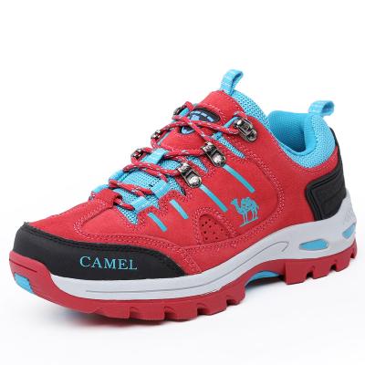 China EVA Autumn Hiking Shoes Warm Breathable Cushioning Non-slip Low-cut Outdoor Hiking Shoes for sale