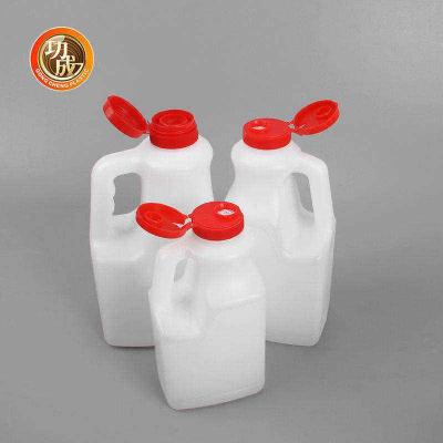 China Custom Hdpe Food Plastic Soy Sauce Bottle With Handle for sale
