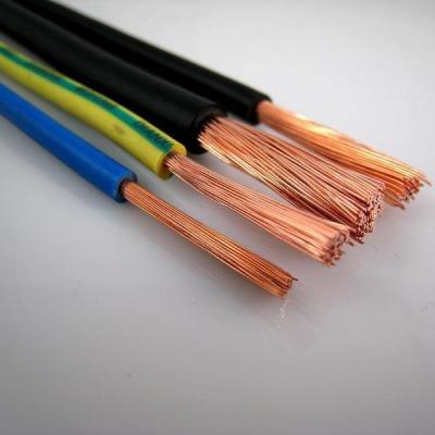 China 450/750V300/500V300/300V. 600/1000V Voltage 1 Core Cooper Conductor Single Core Wire for sale