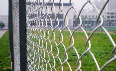 China Coated Pvc 5x5mm Diamond Chain Link Fence Protection Of Animals Children And Props for sale