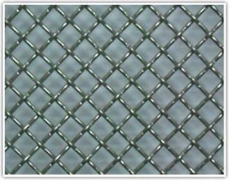 China Welded 50mm Galvanised Square Mesh Decorative Net for sale
