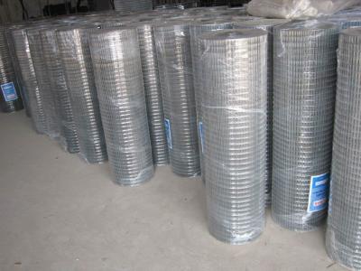 China 5m 10m 25m Length Half Inch Welded Steel Wire Mesh  Corrosion Proof for sale