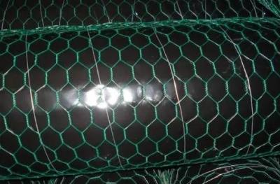 China 2'' PVC Coated Poultry Netting 15M hot dipped galvanized hexagonal wire mesh for sale