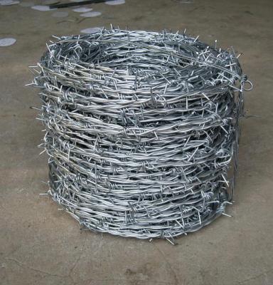 China Galvanized Reverse Twist Barbed Wire Fence Hot Dip Galvanized BWG14xBWG14 for sale