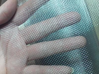 China 304 Stainless Steel Window Fly Screen Mesh 1.0mm BWG38 for sale