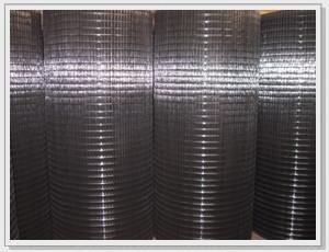 China Black PVC Coated Welded Steel Wire Mesh Low Carbon 6mm for sale
