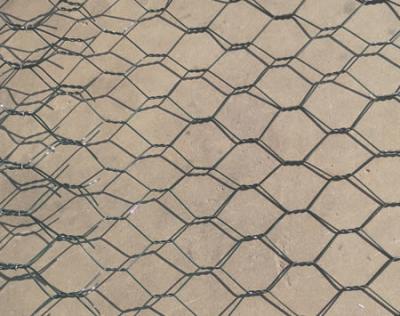 China PET 100x120mm galvanized hexagonal chicken wire mesh ecological governance for sale