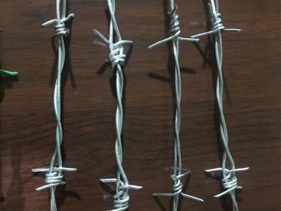 China Antirust Blade Barbed Wire Anti Oxidation Electro Galvanized for sale