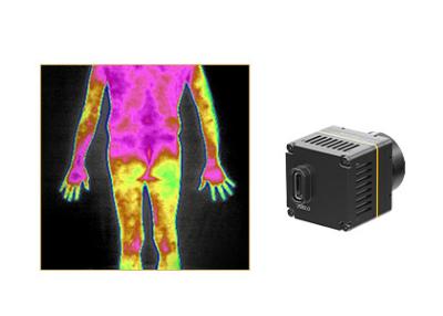 China Cámaras infrarrojas termales de la proyección de imagen para las soluciones médicas de la termografía en venta