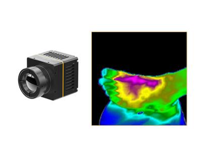 Chine intégration rapide de module de caméra de formation d'images thermiques de 384x288/17μm pour des soins de santé à vendre