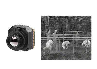 Chine Uncooled Thermal Infrared Surveillance Camera Module LWIR 640x512 17μM à vendre