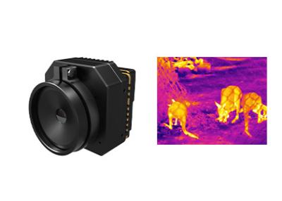 China Módulo Uncooled 640x512 17μm da câmera da imagiologia térmica para a observação animal à venda