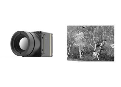 Китай серии МОНЕТКИ 400x300 17μm ядр камеры компактной Uncooled термальное продается