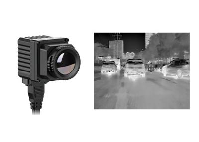 Китай Ядр термического изображения камеры 384x288 17μm ночного видения LWIR термальное продается