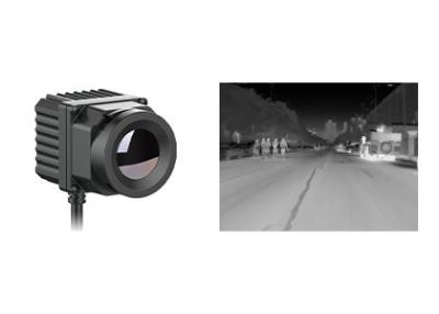 Chine Noyau thermique monté sur véhicule de caméra 384x288 17µm pour l'application tous temps à vendre
