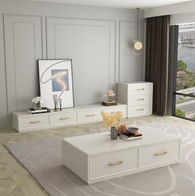 China Popular Modern design TV Cabinet  For Living Room Display Cabinet for sale