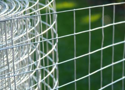 China High Durability Galvanized Welded Mesh Rolls For Poultry Raising for sale