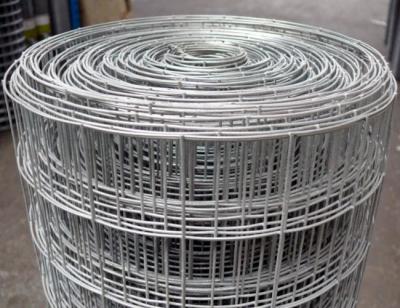 China Galvanized Hardware Heavy Duty Weld Mesh Cloth With Size Of 1/4 Inch - 6 Inch for sale