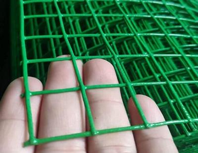 China 25mm Pvc Welded Wire Mesh Protection Of Plants Gardens Pets Vegetables en venta