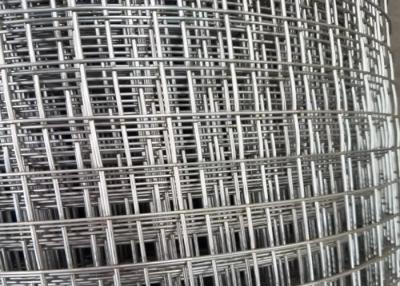 China 0.5mm 201 Stainless Steel Welded Wire Mesh Square Hole à venda