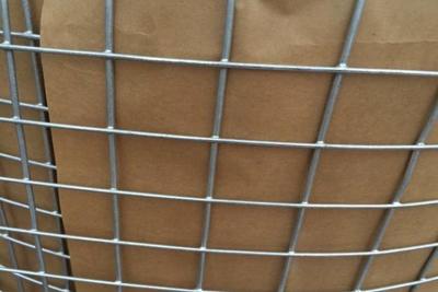 China Q195 Welded Wire Mesh Panels Low Carbon Steel Square Or Rectangular Hole Shape zu verkaufen
