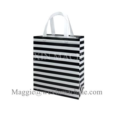 China Reusable Conference Event Place Promotional Non Woven Bags /Garment  Bag Price for sale