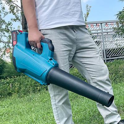 China 1000W Combustion Leaf Blower High Pressure Electric Snow Blowing Soot Dust Remover Te koop