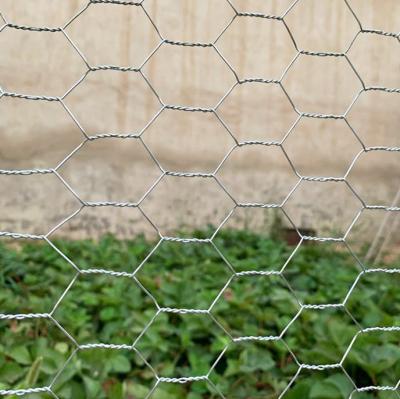 China Chicken Mesh Hot Dipped Galvanized Hexagonal Wire Mesh/chicken Wire/pvc Coated Chicken Wire Netting 3/4 Inches for sale
