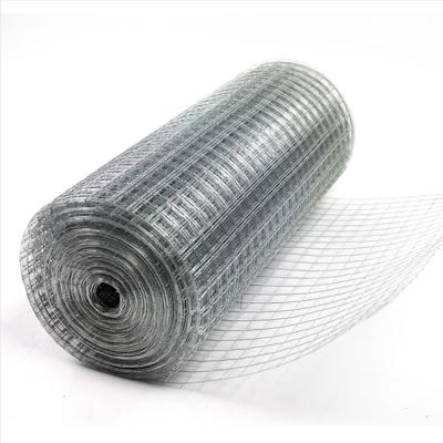 China Direct Factory Anti-corrosion Welded Wire Mesh Iron Wire Mesh For Sale for sale