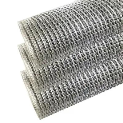 China 1.2Mm Hot Dipped Galvanized Iron Wire Mesh Roll for Protecting Mesh Bird Rabbit Cages for sale
