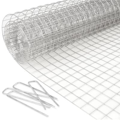 China Welded Mesh Galvanized Square Chicken Wire Netting for Raised Garden and Rabbit Fencing for sale