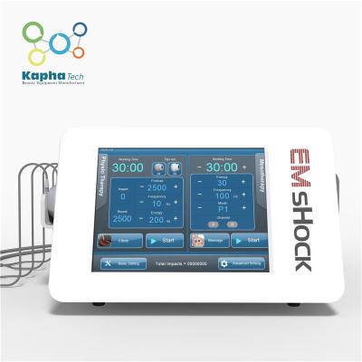 China Mobile Electrical Muscle Stimulation Device , EMS Therapy Machine For Physiotherapy for sale