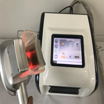 China Máquina de congelação gorda fresca de Sculting 220V Cryolipolysis nenhum risco à venda
