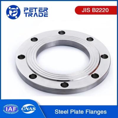 China 10A to 900A JIS B2220 Carbon Steel A105 and Stainless Steel 304 316 Plate Flanges PLFF PLRF 20K 20KG/CM2 for sale