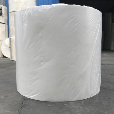 China Total Solution for Projects White Damp Proof Membranes and Polyester Cloth Geotextile for sale