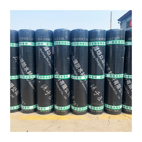 Quality Traditional Design SBS Modified Bitumen Waterproof Membrane for Total Project for sale