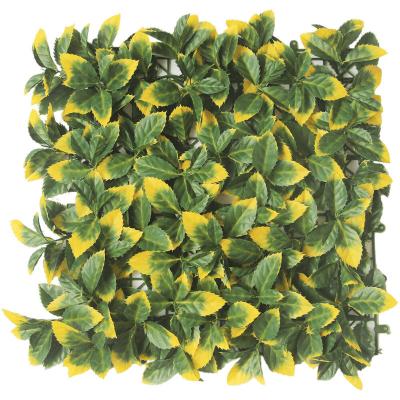 China Vertical Landscape Artificial Green Wall Panels Waterproof for sale