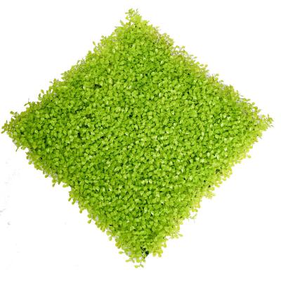 China 20mm künstliche grünes Gras-Wand zu verkaufen