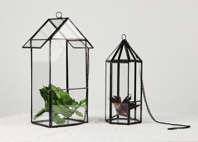 China Black bird nest house geometric logo glass greenhouse hanging cage succulent glass flowerpot greenhouse for sale