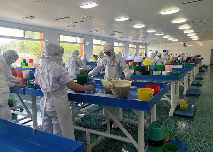 Verified China supplier - Gu 'an Zhongxu Huachen Casing Co., LTD