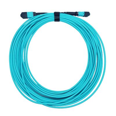 China Type B Plenum MTP To MTP Fiber Patch Cable 10M 8 Fibers OM4 Multimode for sale
