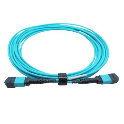 China OM4 Multimode Type B Plenum MTP Trunk Cable 5M 12 Fibers MTP Female 12fmtpom4 for sale