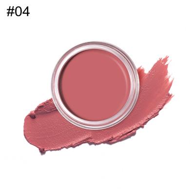 China A composição alta do pigmento cora paleta personalizou Logo Shimmer Finish para a cara à venda